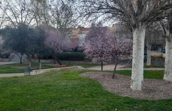 Casa francisca - Foto 27