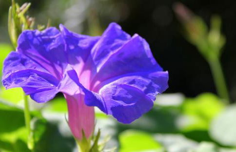 Spiti Prifti Apartments - Photo 130