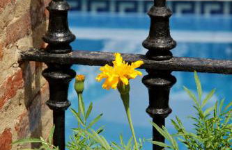 El Zaguán de la Plata - Foto 20