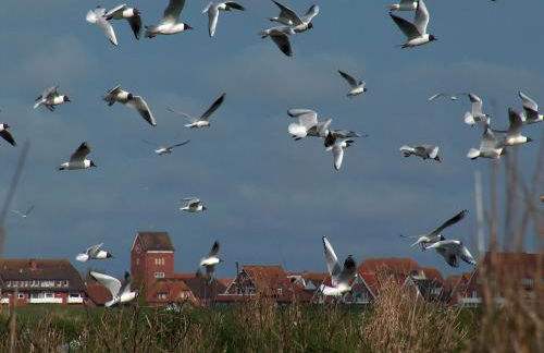 Ferienhaus Nordstrand Whg 4 - Foto 39