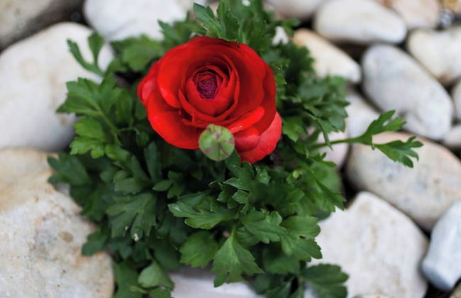 Cute Yellow Handmade House With Garden - Foto 51