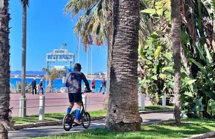 Le Syrius - Photo 17