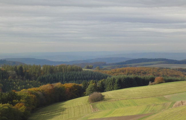 Holiday Home Moselle With Private Sauna - Photo 28