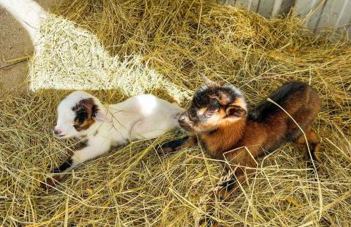 2 Bedroom Cozy Home In Eyraud-Crempse-Maurens - Foto 11