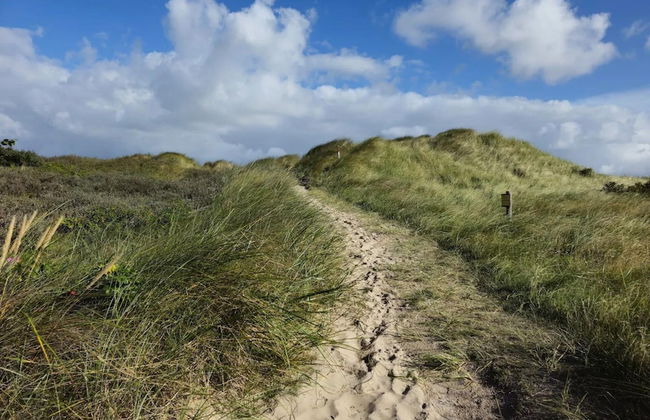 Apartment in St. Peter-ording - Photo 60