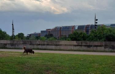 Le Refuge Bohème - Centre des Congrès - Foto 16