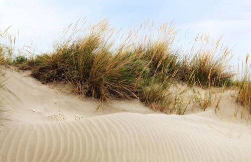 Studio Chaleureux niché au cœur des Salins - Foto 10