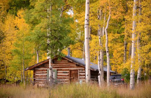 The Cabins at Historic Columbine - Foto 57