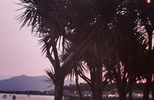 Beside the Bay - Photo 11