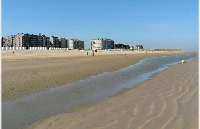 Seaside Stay w/ Large Terrace - Foto 40