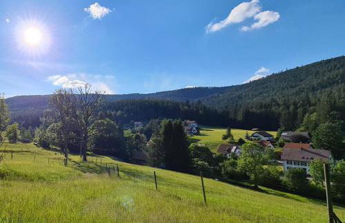 Rückzugsort mit Bergblick in Baiersbronn-Obertal - beheizter Wintergarten & kostenfreier Parkplatz - 70qm Ferienwohnung - Foto 24