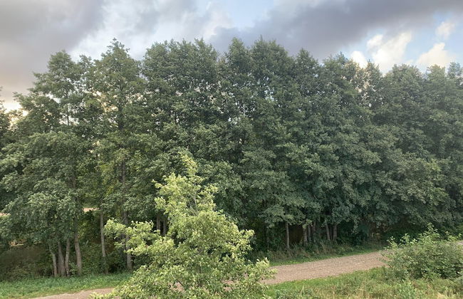 Seaside apartments - Near Palanga Beach - Photo 19