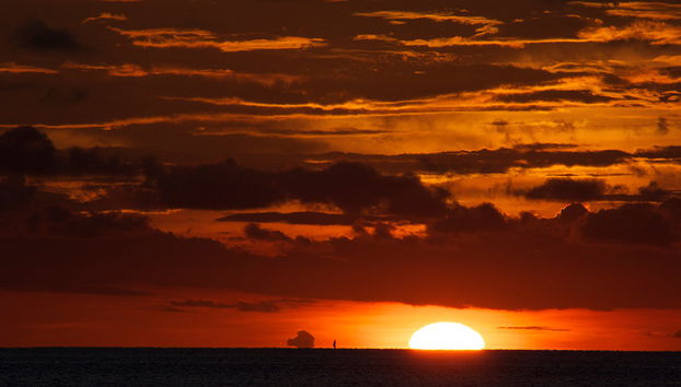 Cruise Seeview from the Ocean of Stone Town - Photo 4
