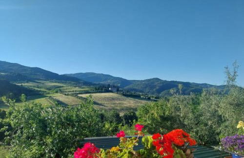 nel Chianti vicino Firenze - Foto 7