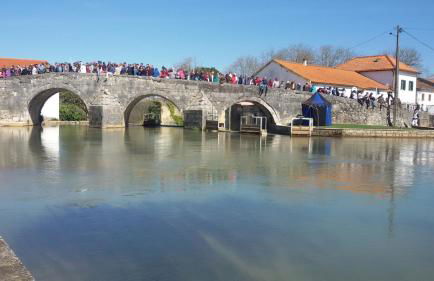 Quinta de São João - Foto 79