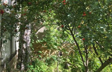 Cherrytree Cottage 1840 - Foto 55