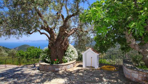 Anania Cottage - Foto 2, Garden