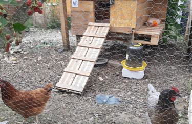 Gîte du ruisseau - Foto 17