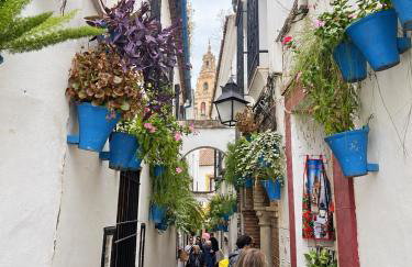 Nueva Córdoba Judería - Foto 47