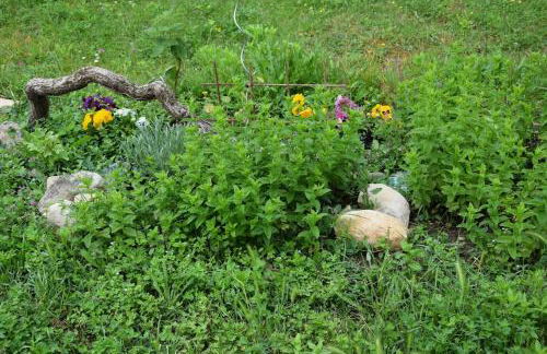 Cozy atmosphere 4pers near Eurexpo GroupamaStadium - Foto 11