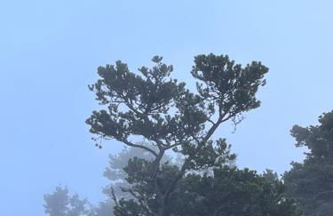 Rudders Rest - Foto 29