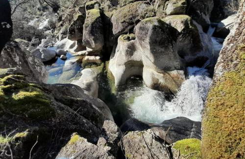 Estrela da Serra - Foto 42