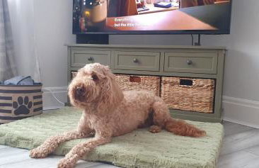 Ample town house in Workington, West Lakes, Lake District - Foto 42