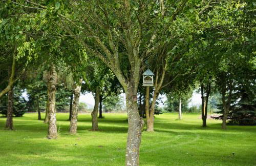 The Cart Shed - Foto 16