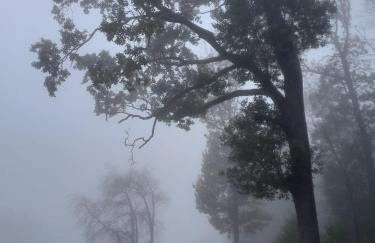 Fewo Waldtherme Relaxen, wandern, Radfahren - Foto 47