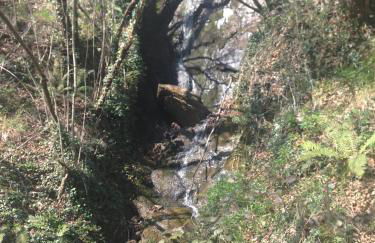 Apartamentos Casa María Juanín - Foto 49