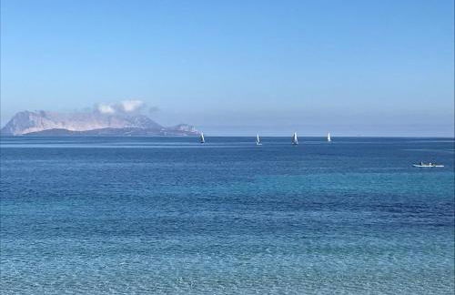 Frank's Home - Foto 17