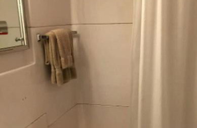 Imaginative Octogonal Glass Treehouse on Seven Private Acres near Great Barrington, MA - Foto 23