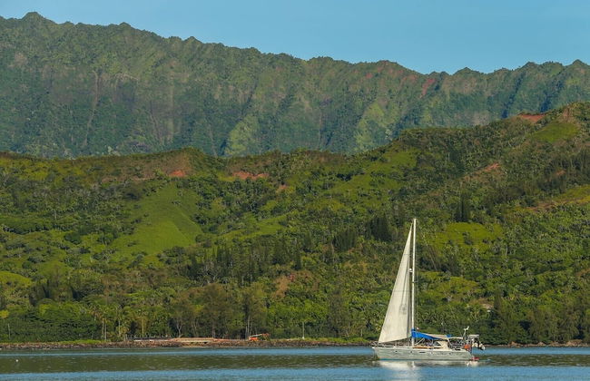 Hanalei Beach House 5 Bedroom Home by RedAwning - Photo 52
