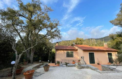 Le Sughere - Foto 10