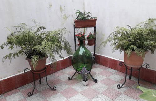 Domus Grace - Foto 15