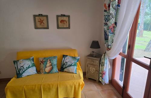 Depandace Lido di capoliveri - Foto 4