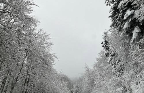 Maison de village, Route des lacs - Foto 35