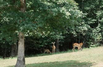 A Frame of Mind - Foto 46