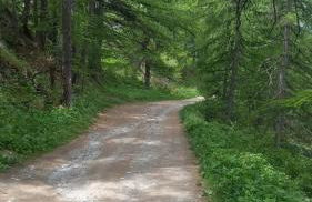 Sauze Guesthouse Apartment - Foto 6