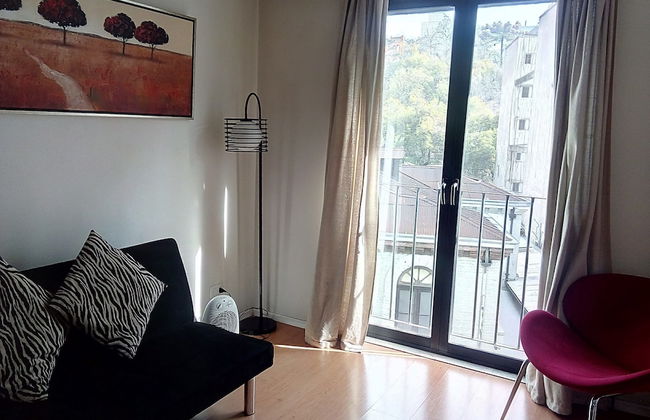 Rukaza Lastarria - Photo 18