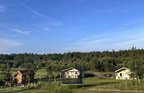 Wczasy Pod Sosnami domek z kominkiem - Foto 10