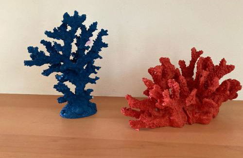 Villa Seashell - Foto 36