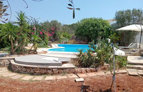 Al Marchello offline - Foto 8