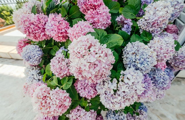 Spacious Family 4BR Seaside House, Fantastic Sea Views, 20 Meters to Beach - Foto 39