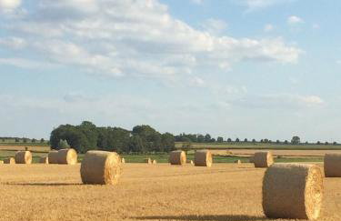 Lindenhof Wohnung 2, Erdgeschoß - Foto 27