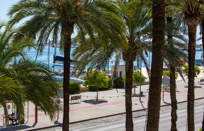 Puerto Denia Cervantes - Photo 15