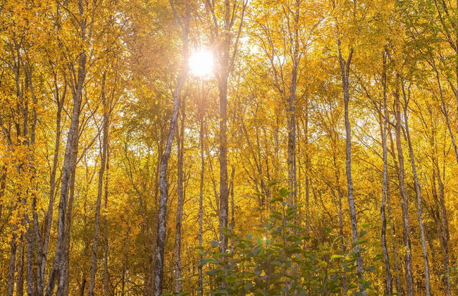 Inlet View Home - Foto 29