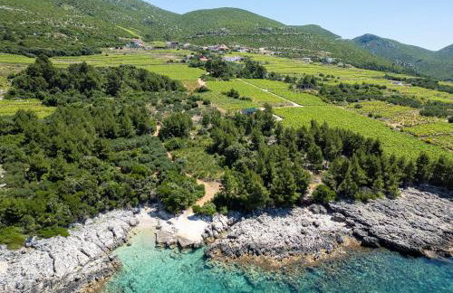 Holiday Home Biserka - Photo 48