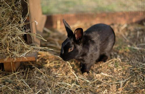 Agriturismo Bisenzio - Foto 1