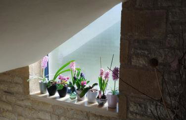 Villa Myrto - Foto 28